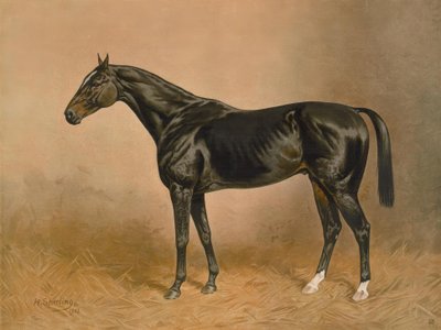 English Thoroughbred by Heinrich Sperling